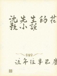 沈先生的花式调教小说