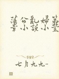 荡公乱妇第51章小说小莹