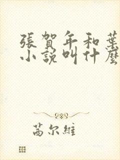 张贺年和叶繁姿小说叫什么名字