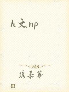 h文np封面