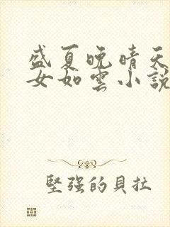 盛夏晚晴天之美女如云小说