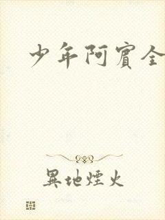 少年阿宾全文封面