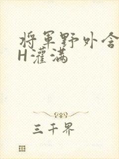 将军野外含公主H灌满