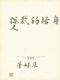 总裁的赔身小情人