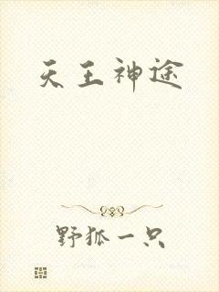 天王神途封面