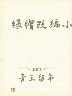 绿帽改编小说