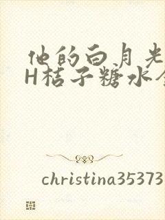他的白月光HVH桔子糖水全文