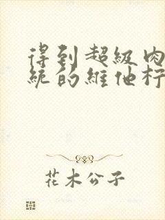 得到超级肉禽系统的维他柠檬茶