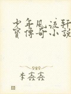 少年风流轩辕大宝传奇小说