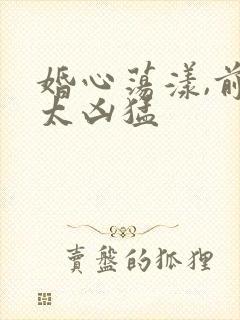 婚心荡漾,前夫太凶猛