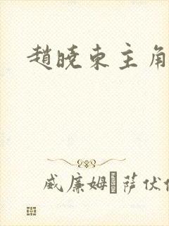 赵晓东主角小说