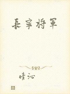 长宁将军封面