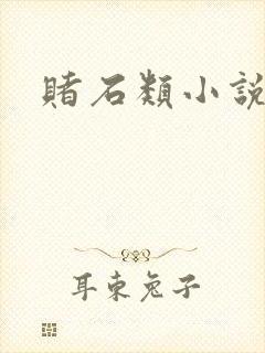 赌石类小说封面