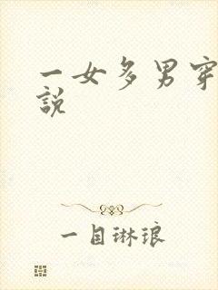 一女多男穿越小说封面