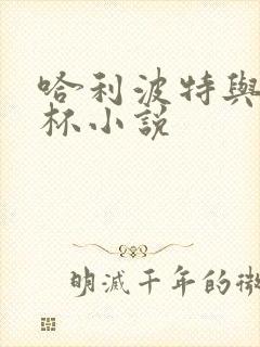 哈利波特与火焰杯小说