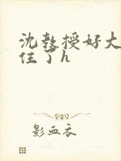 沈教授好大含不住了h