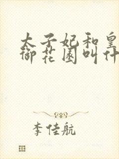 太子妃和皇帝在御花园叫什么小说