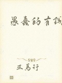 愚蠢的有钱人封面