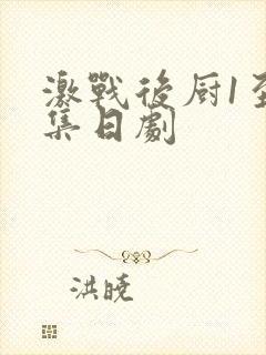 激战后厨1至5集日剧