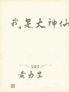 我是大神仙小说封面