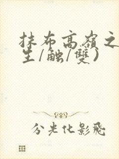 抹布高岭之花(生/触/双)封面