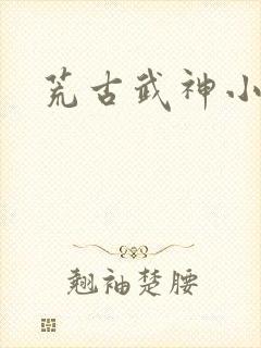 荒古武神小说