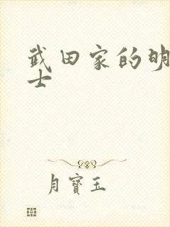 武田家的明国武士