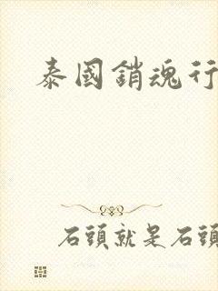 泰国销魂行封面