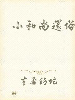 小和尚还俗记封面