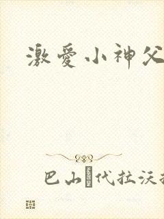 激爱小神父