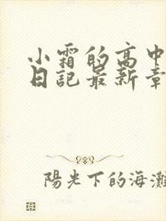 小霜的高中成长日记最新章节