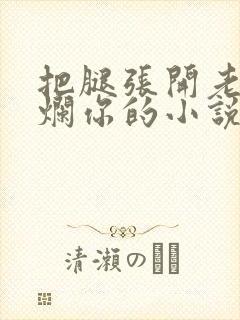 把腿张开老子臊烂你的小说