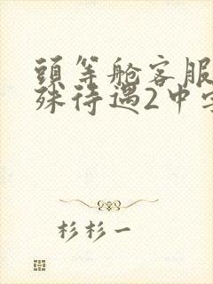 头等舱客服的特殊待遇2中字