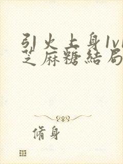 引火上身1v1芝麻糖结局封面