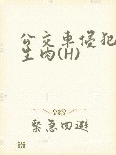 公交车侵犯小男生肉(H)