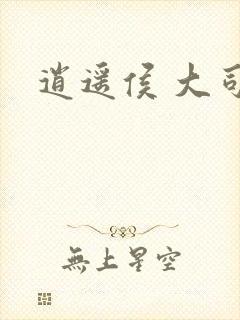逍遥侯 大司空封面