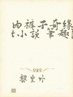 内裤子奇缘txt小说 笔趣阁