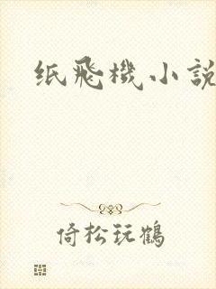 纸飞机小说