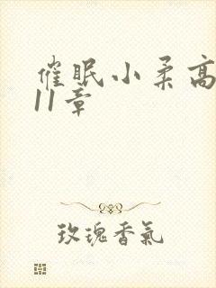 催眠小柔高达第11章封面