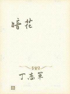 暗花封面