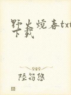 野火烧春txt下载