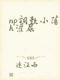 np调教小荡货h灌尿