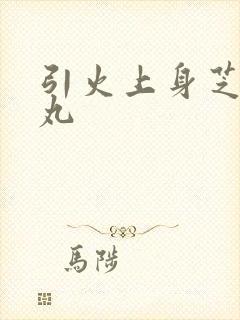 引火上身芝麻糖丸