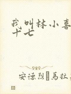 我叫林小喜今年十七