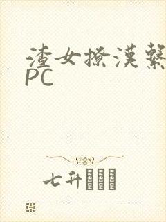 渣女撩汉系统NPC