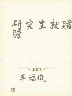 研究生就赌一个胆封面