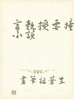 言教授要撞坏了小说封面