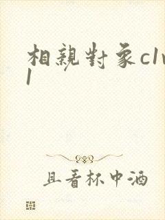 相亲对象c1v1