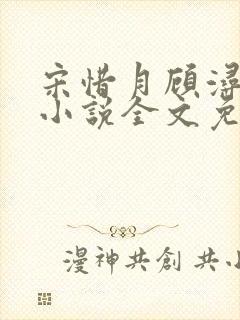 宋惜月顾浔渊的小说全文免费阅读