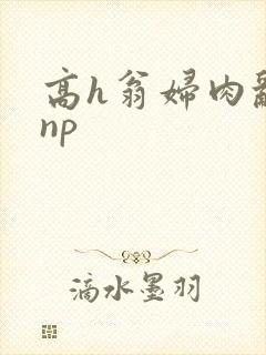 高h翁妇肉乱文np封面